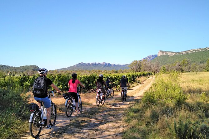 Guided Electric Bike Tours With Tasting in Pic Saint Loup - Copyright and Usage Information