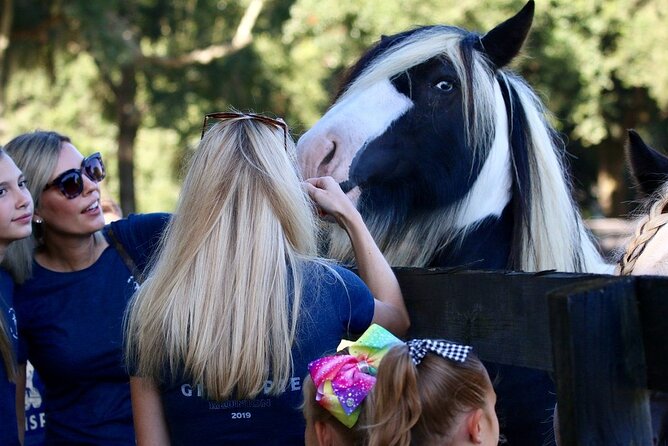 Gypsy Gold Horse Farm Tour - Additional Resources