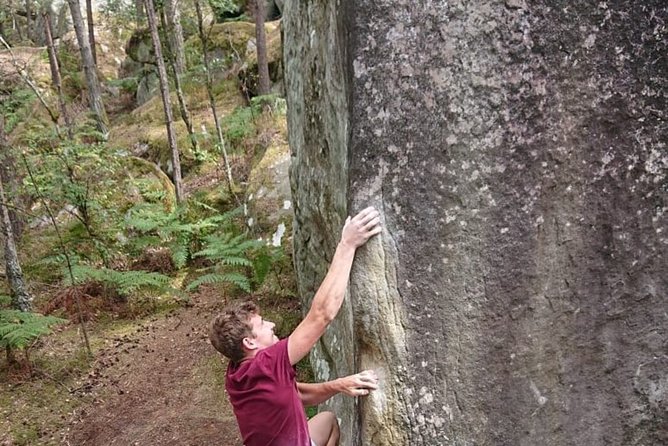 Half-Day Bouldering in Fontainebleau - Enjoy the Scenic Beauty of Fontainebleau