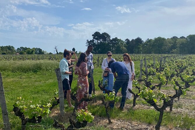 Half-Day Guided Wine Tasting Tour in Bordeaux Vineyards - Final Words