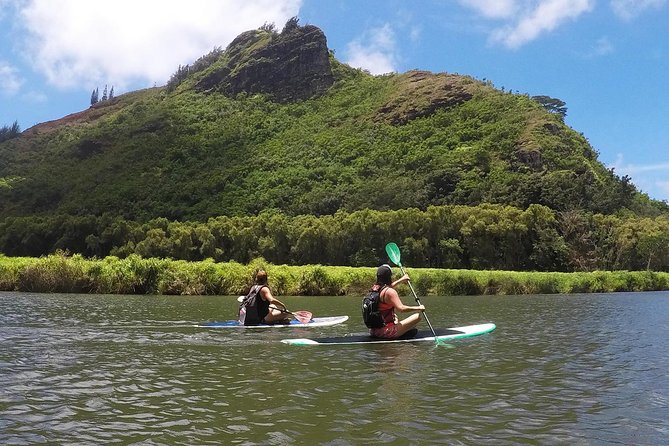 Half-Day Kayak and Waterfall Hike Tour in Kauai With Lunch - Common questions