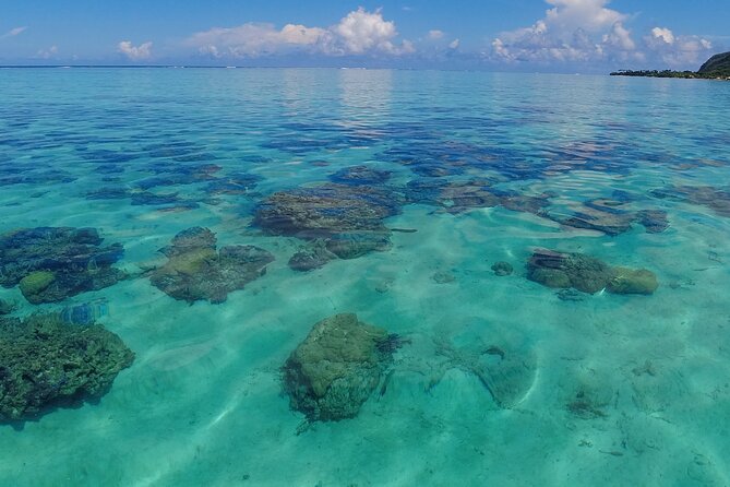 Half-Day Private Lagoon Tour by Boat in French Polynesia - Final Words