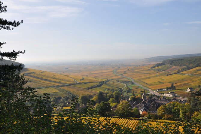 Half-Day Private Tour in Côte De Beaune - Final Words