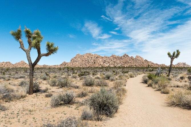 Joshua Tree National Park Self-Driving Audio Tour - Pricing and Booking Information