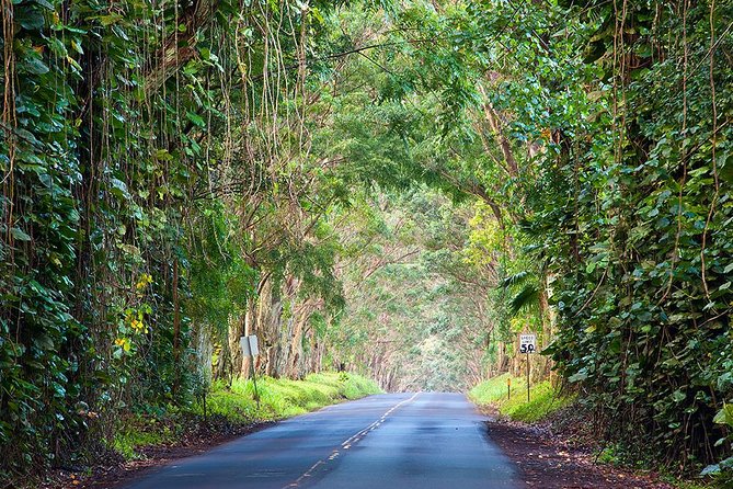 Kauai Highlights Small Group Tour. a Taste of the South & West - Final Words