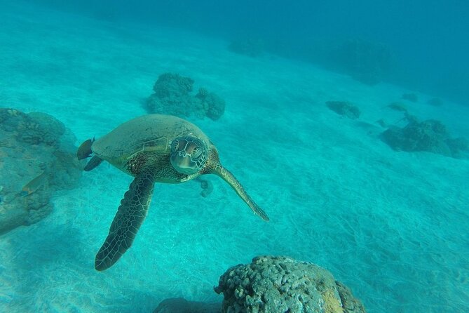 Kayak and Snorkel: Maui West Shore - Tranquil Waters for All Skill Levels