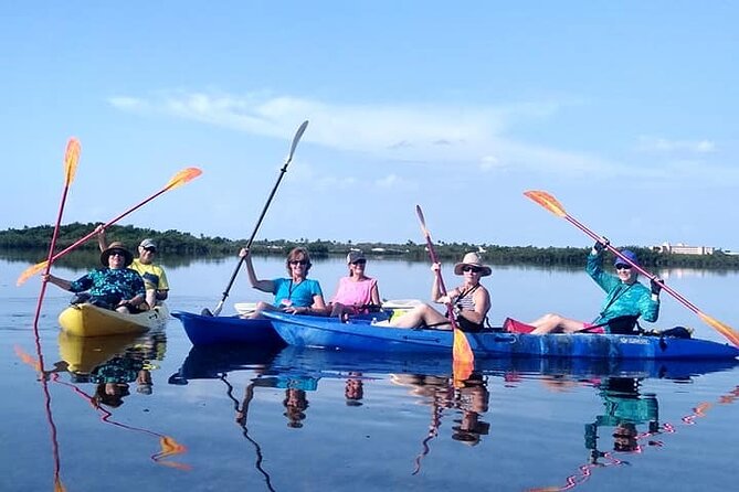 Kayaking Tour of Mangrove Maze in Key West  - Key Largo - Key West 2024 - Key Largo Tour Highlights