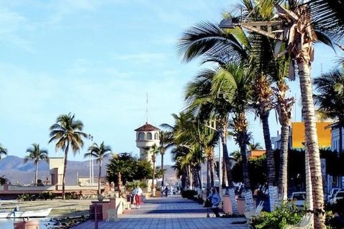 La Paz Whale Shark Snorkeling Tour and Lunch From Los Cabos - Common questions