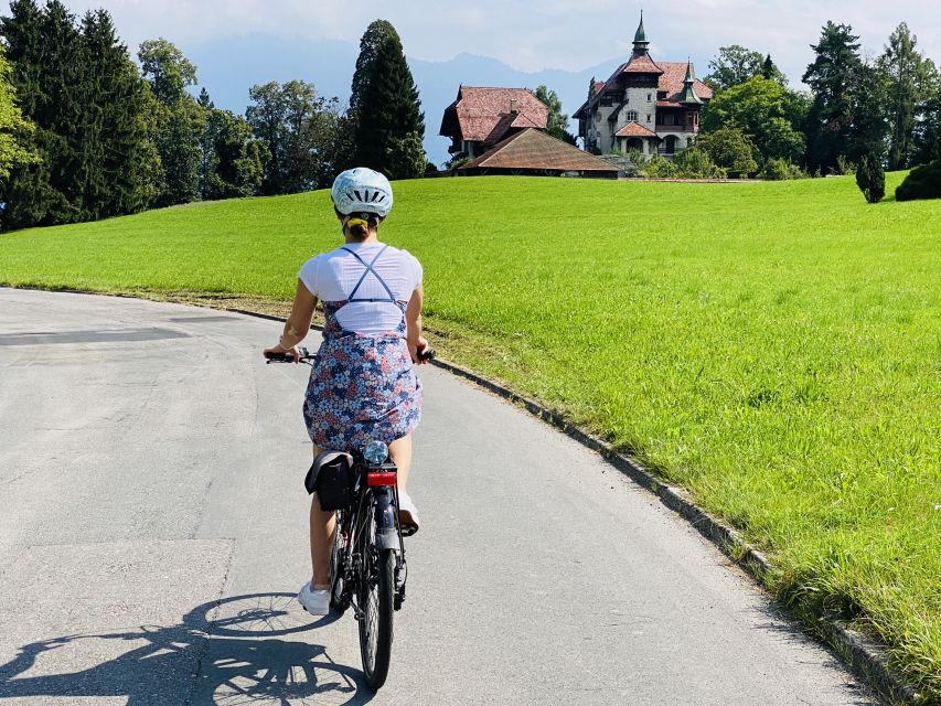 Lake Lucerne Peninsula E-Bike Tour - Safety Measures