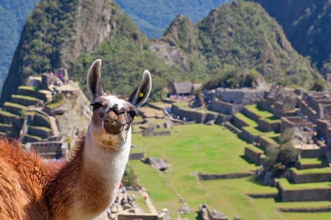 Machu Picchu (Day Trip) - Final Words