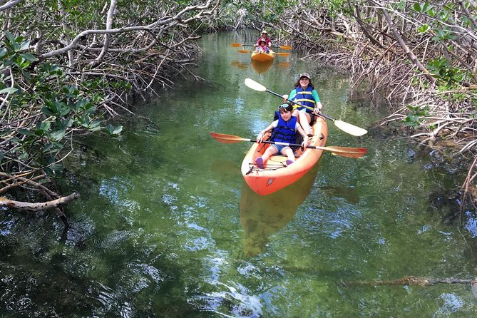 Mangroves and Manatees - Guided Kayak Eco Tour - Final Words