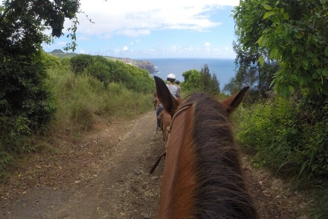 Maui Horseback-Riding Tour - Common questions