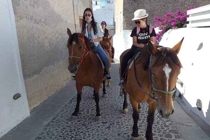 Megalochori Horseback Excursion  - Santorini - Additional Recommendations