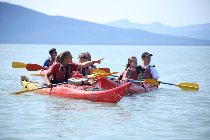 Mendenhall Glacier View Sea Kayaking - Final Thoughts