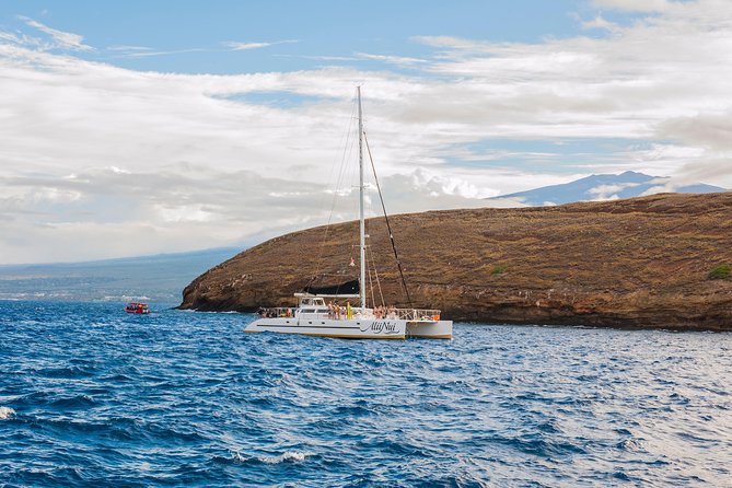 Molokini and Turtle Arches Snorkeling Trip From Maalaea Harbor - Viator Booking Information