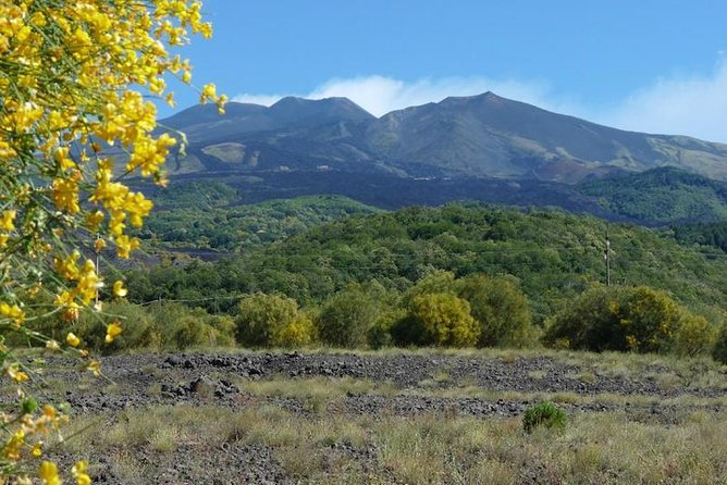 Mt. Etna Nature and Flavors Half Day Tour From Catania - Final Words