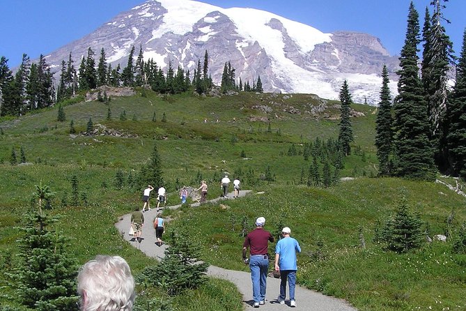 Mt. Rainier Day Tour From Seattle - Final Words