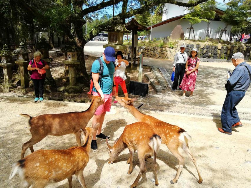 Nara: City Highlights Shared Group or Private Bike Tour - Common questions