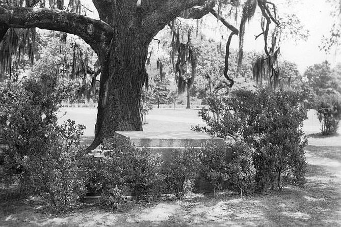 New Orleans Dead of Night Ghosts and Cemetery Bus Tour - Cemetery Stops