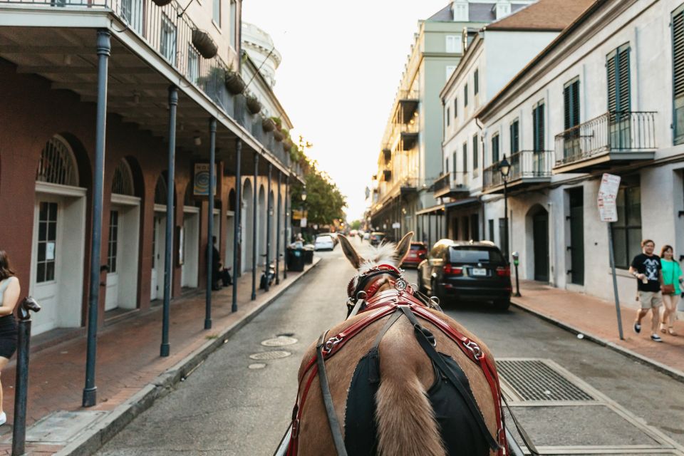 New Orleans: French Quarter Sightseeing Carriage Ride - Common questions