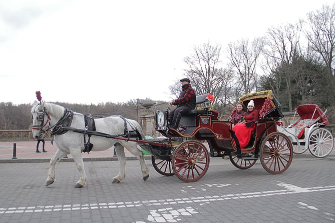 New York City: Central Park Private Horse-and-Carriage Ride - Final Words