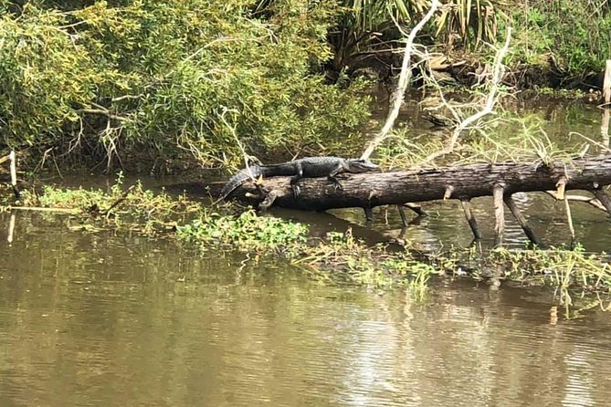 Oak Alley Plantation and Small Airboat Tour From New Orleans - Common questions