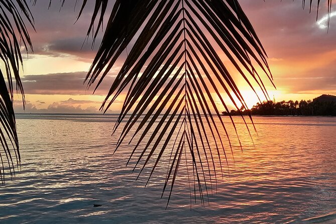 Observation of Marine Flora and Fauna in Bora Bora - Final Words