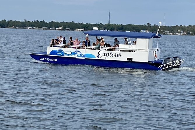 Orange Beach Dolphin Eco Boat Tour - Final Words