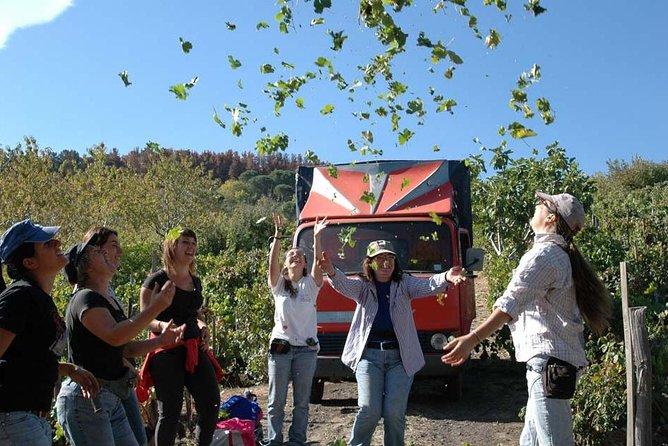 Private 6-Hour Tour of Three Etna Wineries With Food and Wine Tasting - Final Words