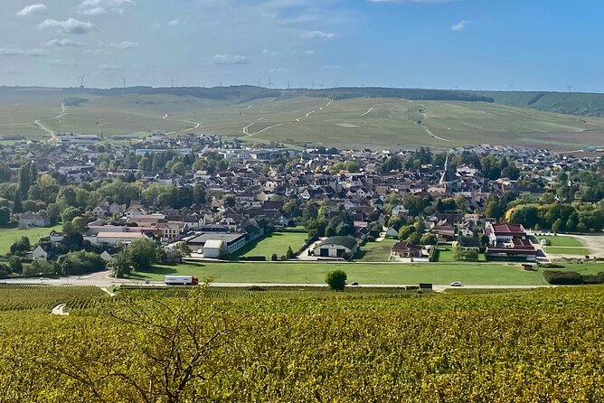 Private Burgundy 3 Domaines Chateau Pommard Chablis 15 Wines Trip - Booking Information