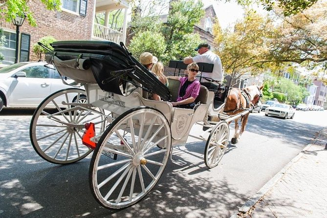 Private Daytime or Evening Horse-Drawn Carriage Tour of Historic Charleston - Customer Feedback and Recommendations