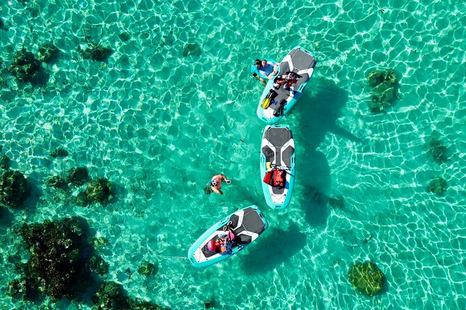 Private Excursion With E-Board in Moorea and Snorkeling - Common questions