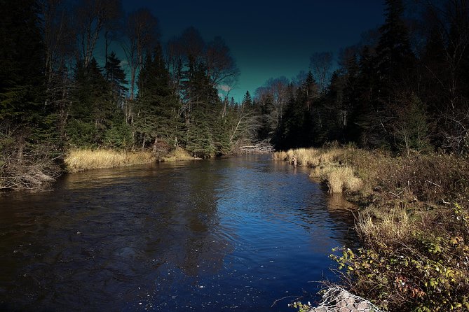 Private Four-Hour Guided Fly Fishing Experience  - Prince Edward Island - Highlights