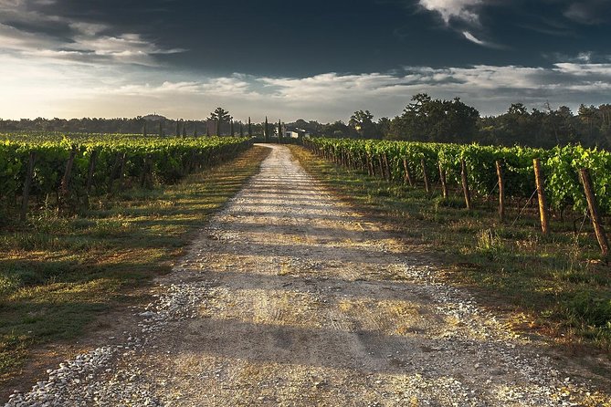 Private Winery Tour of Niagara-on-the-Lake - Final Words