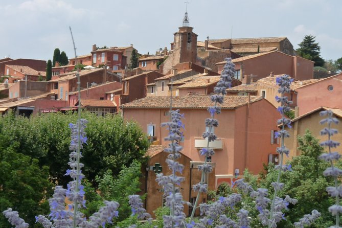 Provence in One Day Small Group Day Trip From Avignon - Comfort and Safety