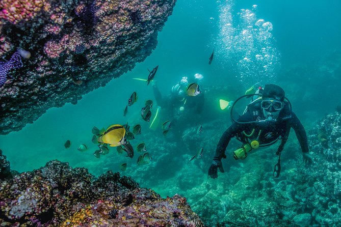 Scuba Diving With a 5-Star PADI Center in Puerto Vallarta - Common questions