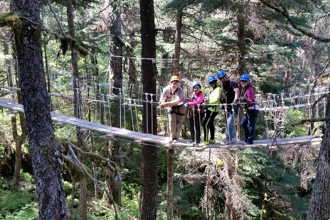 Seward Alaska Small-Group Ziplining Experience in Nature - Final Words