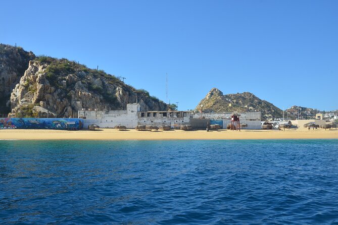 Shared Tour to the Arch of Cabo San Lucas - Reviews and Ratings