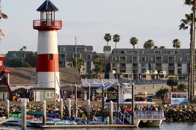 Shared Two-Hour Whale Watching Tour From Oceanside - Inclusions on the Tour