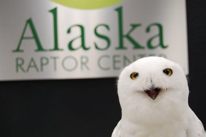 Sitka Tour: Raptor Center, Fortress of the Bears, Totems - Common questions