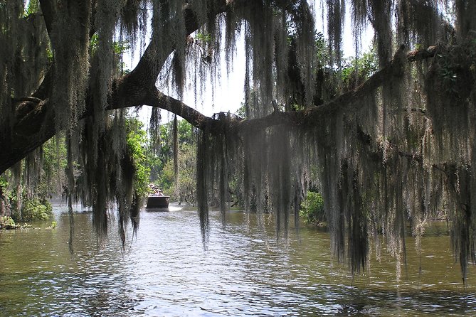 Small-Group Bayou Airboat Ride With Transport From New Orleans - Educational Experience