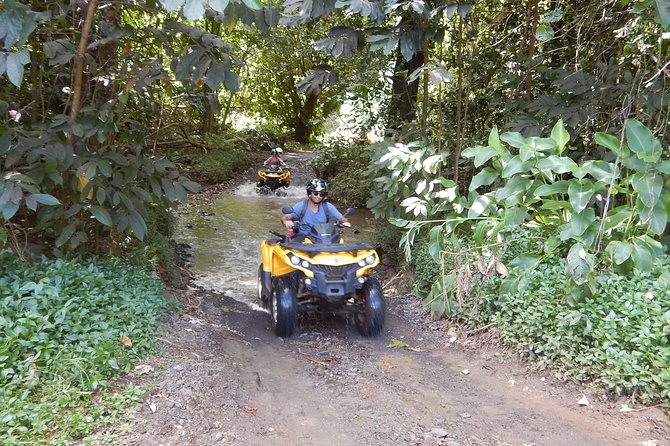 Small Quad Tour 2h30 Quad Excursion in Moorea (Single or Two-Seater) - Directions for Booking and Inquiries