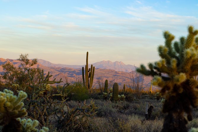 Sonoran Desert Jeep Tour at Sunset - Common questions