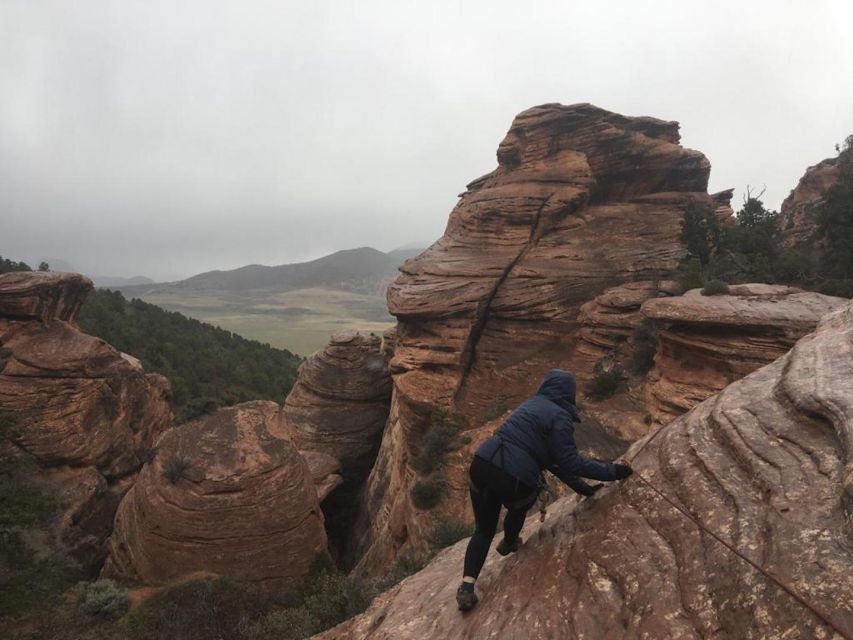 Springdale: Half-Day Canyoneering Experience - Activity Highlights