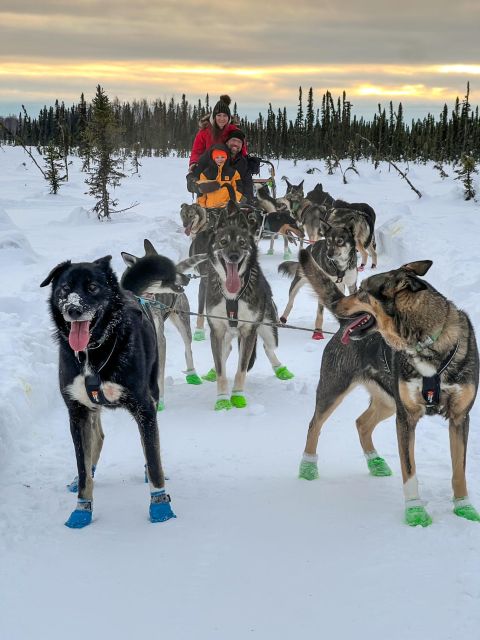 Talkeetna: Winter Dog Sled Tour Morning or Night Mush! - Final Words