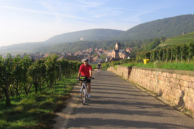 Through Alsace Vineyards and Wine Villages Private Bike Tour - Common questions