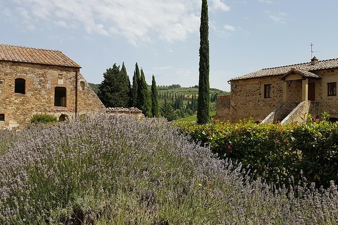 Tuscany Guided Day Trip From Rome With Lunch & Wine Tasting - Common questions