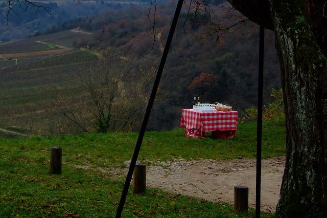 Unusual Exploration of the Terroirs of Burgundy in 2CV - From 6 People - Common questions