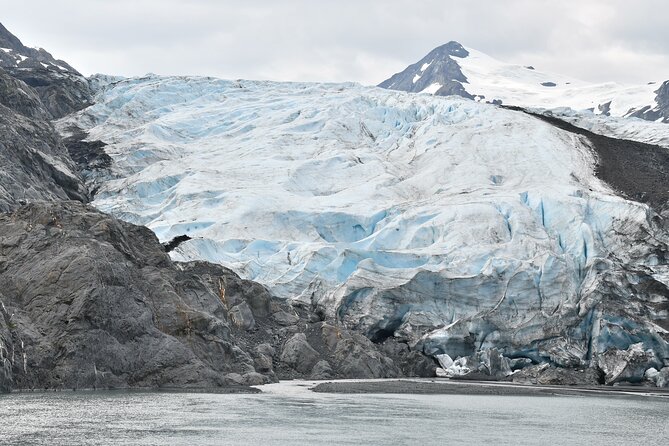 Valley of Glaciers Experience With Portage Glacier Cruise and Wildlife Tour - Common questions