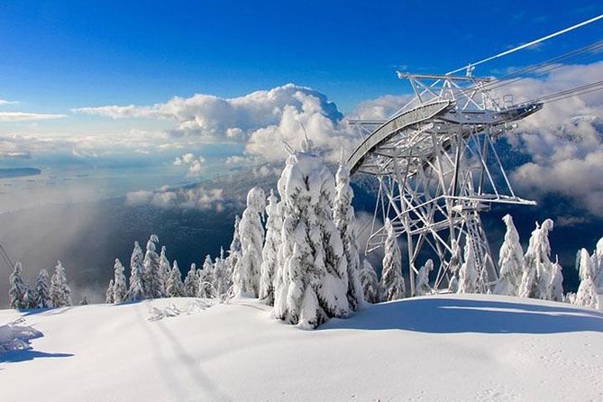 Vancouver, Grouse Mountain, Suspension &The Look Out Private Tour - Additional Tour Insights